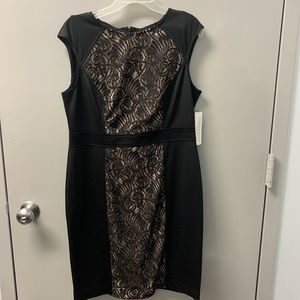 London Style Petite Collection Black w/Lace Sz 16